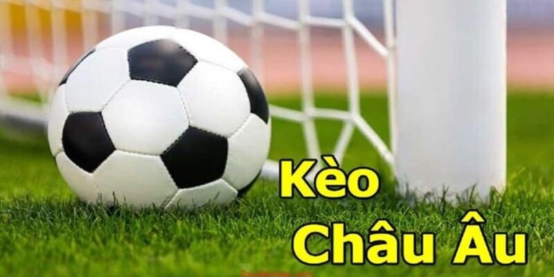 Kèo cược châu Âu có tỷ lệ thắng cao và phù hợp với tân binh